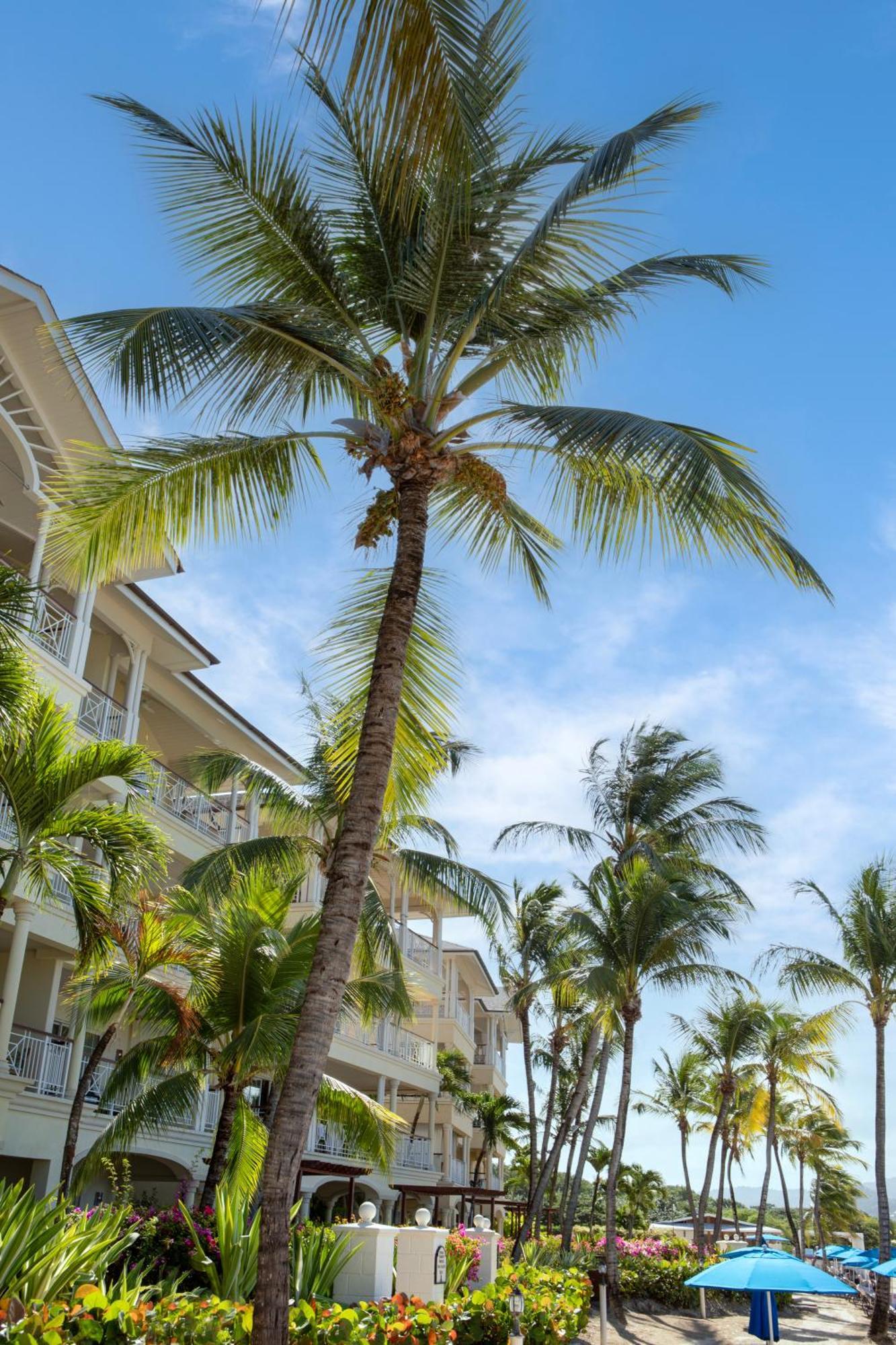 The Landings Resort And Spa - All Suites Gros Islet Dış mekan fotoğraf